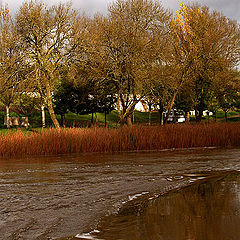 фото "the luminous river"