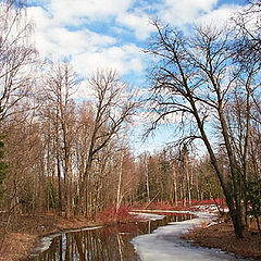 photo "Spring landscape with clouds"