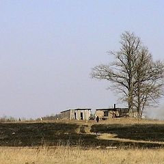 photo "burn fields"