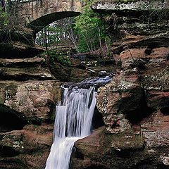 фото "Top of The falls"