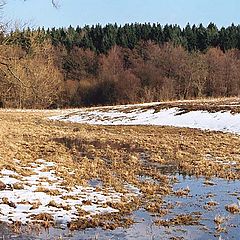 фото "Весенняя"