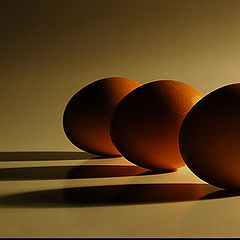 фото "Eggs"