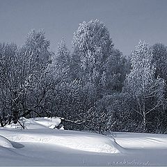 photo "Snow"