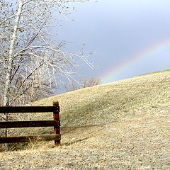 фото "Follow the rainbow"