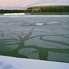 photo "ice tree in the Moscow river"