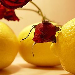 фото "lemons"