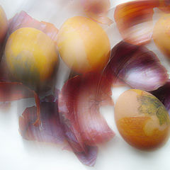 фото "circus"