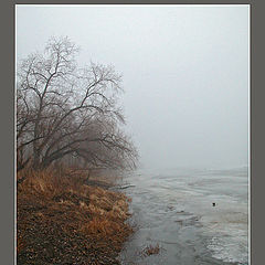 photo "Misty coast"