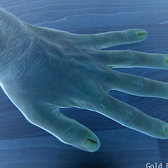 photo "Hand"