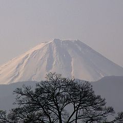 photo "compare with Fuji"