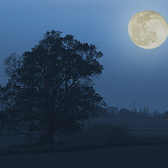 фото "Восход полной Луны"