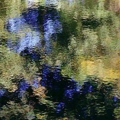 фото "Water of Leith 8"