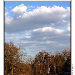 photo "On vernal water"