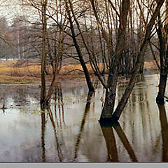 photo "March. Izmajlovo. A high water."