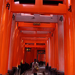 фото "Inari Taisha"