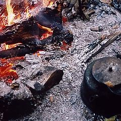 фотоальбом "Таежные заметки"