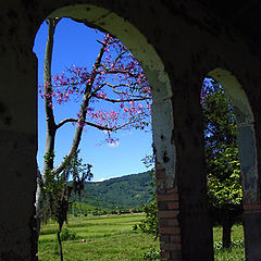 фото "BLUE SKY"