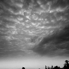 фото "goloborze -  stonefield"