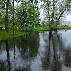 photo "Rain and moods..."