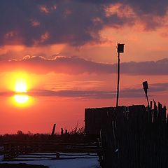 photo "Morning"