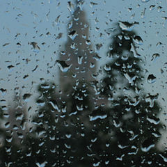 photo "Afther the rain"