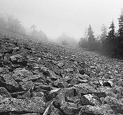 фото "goloborze - stonefield - II"