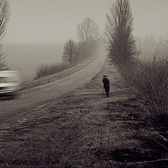 photo "Life of rural roads"