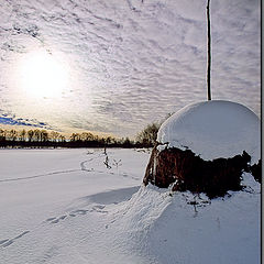 photo "Memoirs on a snow and haystack! :)"