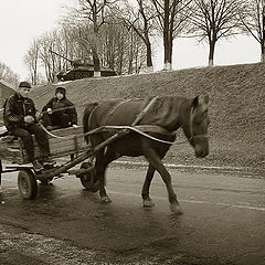 photo "About horses - alive and iron"