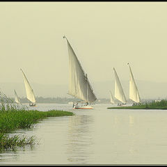 photo "etude with sails / the egyptian sketches/"