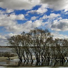 фото "Весеннее 4..."