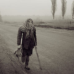 photo "Life of rural roads (2)"