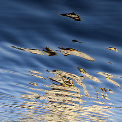 photo "Gold soap-suds of belief"
