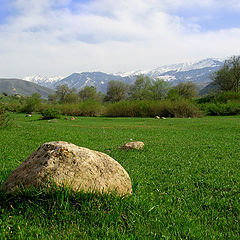 photo "Time to collect stones 2"