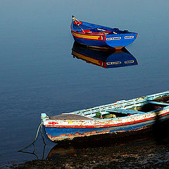 photo "in the blue shore"