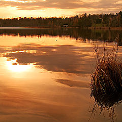 photo "April evening"