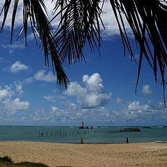 фото "Maceio (Brasil)"