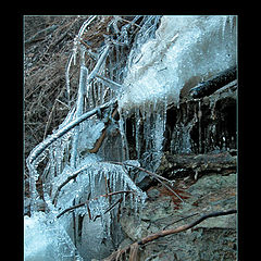 photo "Icy creek"