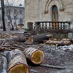 photo "... time to cut trees"