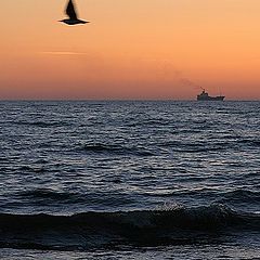 photo "Ship on the sea"