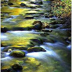 фото "Rocks in the flowing creek"