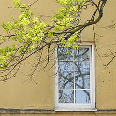 фото "весеннее окно"