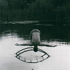 фото "***"