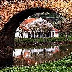 фото "under the bridge"