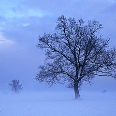 photo "Fog"