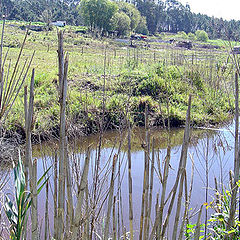 фото "Alentejo"