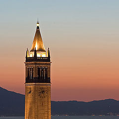 photo "Berkeley University Tower"