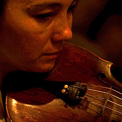 photo "The violinist"