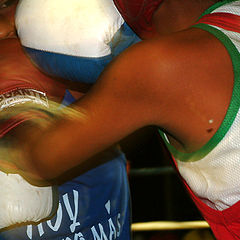 photo "children boxing"