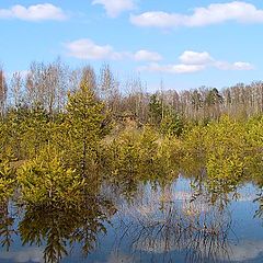 photo "Весеннее настроение"